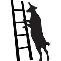 Stepladder Ranch & Creamery discount code